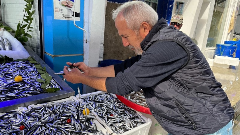 Sinop'ta hamsi bereketi başladı! Kilosu 50 liradan satılıyor