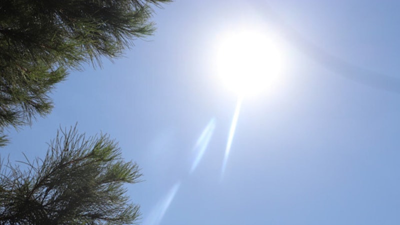 Kışı bekleyenlere kötü haber! Sıcaklıklar 20 derecenin üzerine çıkacak!