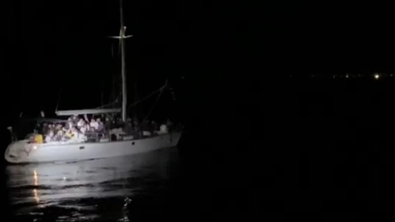 Bodrum'da kaçak göçmen operasyonu: Balık istifi yakalandılar