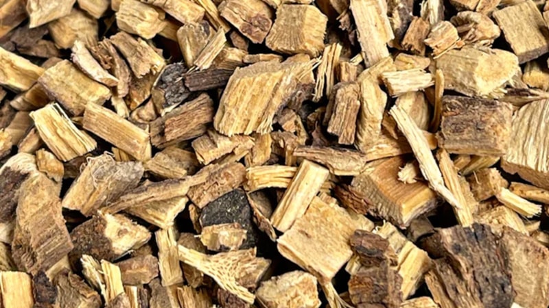 Tıpta kılavuz ilaç diye biliniyor, şifaları saymakla bitmiyor! Her derde deva...