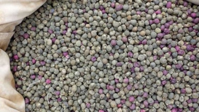 1 tutam tüketen hastalık yüzü görmüyor! Kireçlenme, diyabet, kanser…