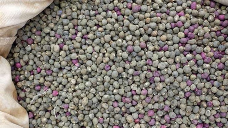 1 tutam tüketen hastalık yüzü görmüyor! Kireçlenme, diyabet, kanser…