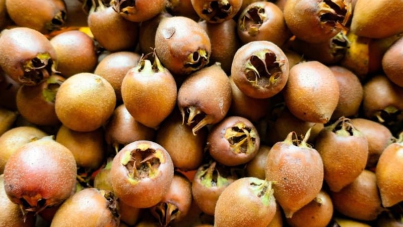 Bir meyve, bin fayda! Yiyen hastalık yüzü görmüyor