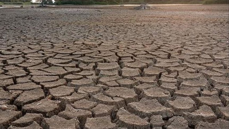 Bodrum susuz kalıyor! Barajlar kritik seviyede...