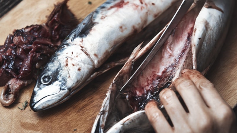 Palamutunuz 5 dakikada hazır! Bu yöntem çok kolay...