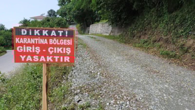 Zonguldak'ta 55 yerleşim bölgesinde şap karantinası