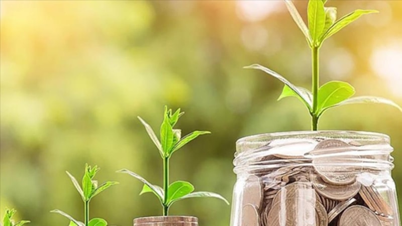 Temiz enerji yatırımları destekleniyor! Türkiye'deki bankaların 'iklim karnesi'