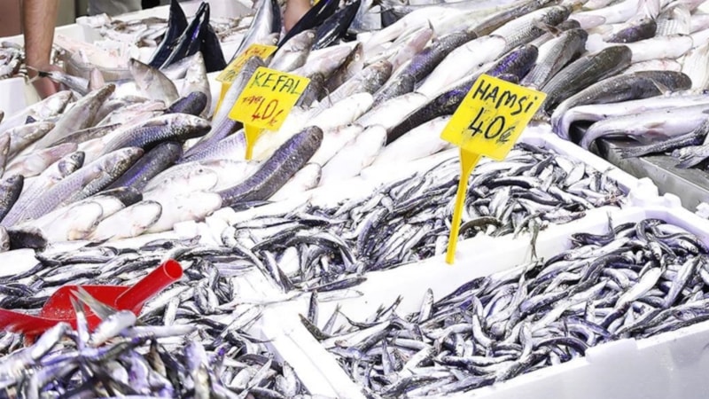 Samsun'da hamsinin kilosu 40 liraya kadar indi