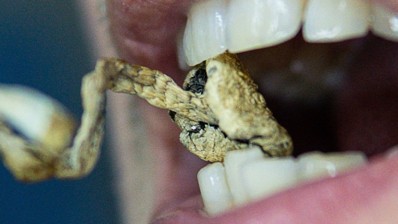 Bulunması zor, yemesi yasak, faydası çok! Yiyeni kısa sürede sarhoş ediyor...