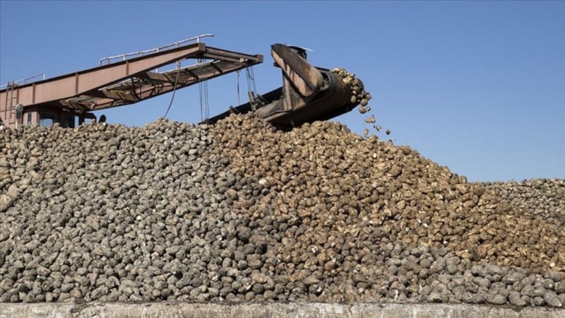 Pancar üreticilerine 715,7 milyon TL hasat avans ödemesi