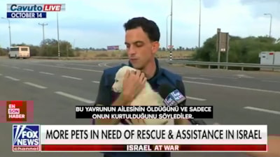Gazze'de öldürülen çocukları görmeyen FOX 'köpekler bombalardan korkuyor' haberi yaptı
