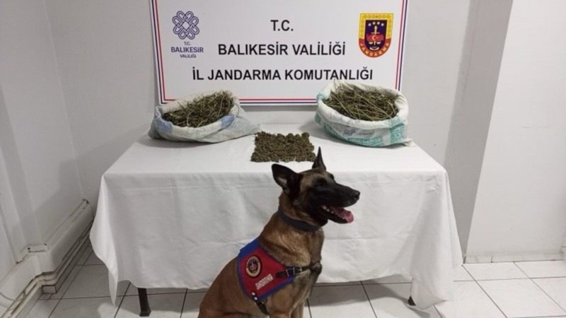 Balıkesir'de uyuşturucu operasyonu... 1 şüpheli yakalandı