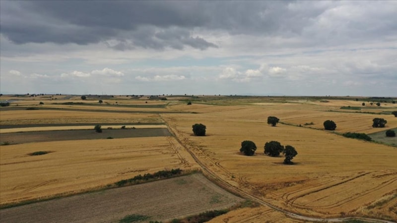 Gayrimenkul yatırımcısının gözü Trakya'da
