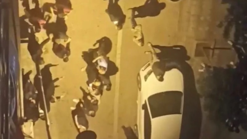 Zeytinburnu'nda komşuların 'görüş açımı kapattın' kavgası! Bir kişi darbedildi