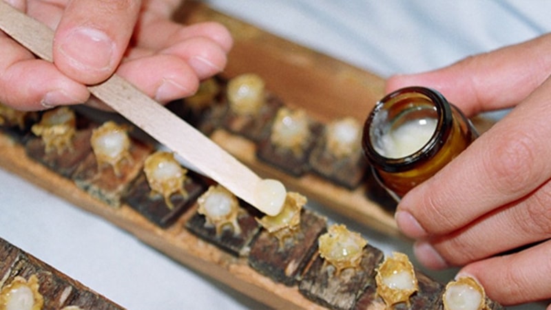 Düzenli olarak tüketirseniz değişime inanamayacaksınız! Bakın neler oluyor...