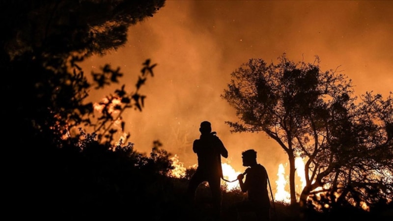 Türkiye'de 9 ayda 2 bin 197 orman yangınına müdahale edildi