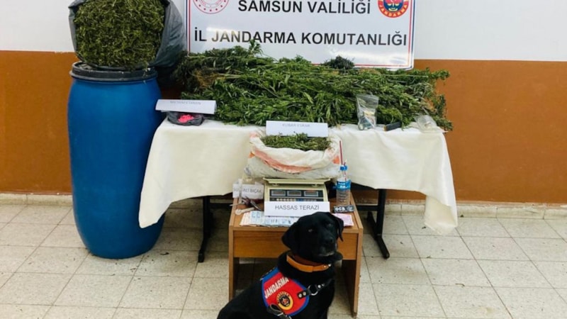 Samsun'da uyuşturucu operasyonu! 22 kilo kubar esrar ele geçirildi