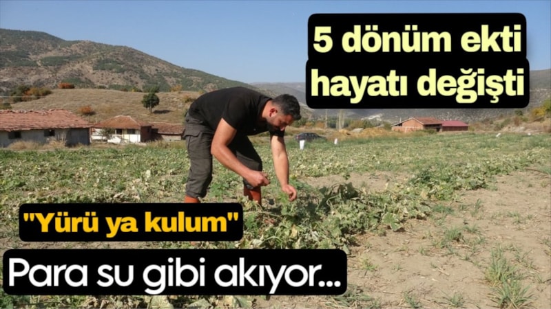 Atanamadığı için çok mutlu! Fabrikatör olacak