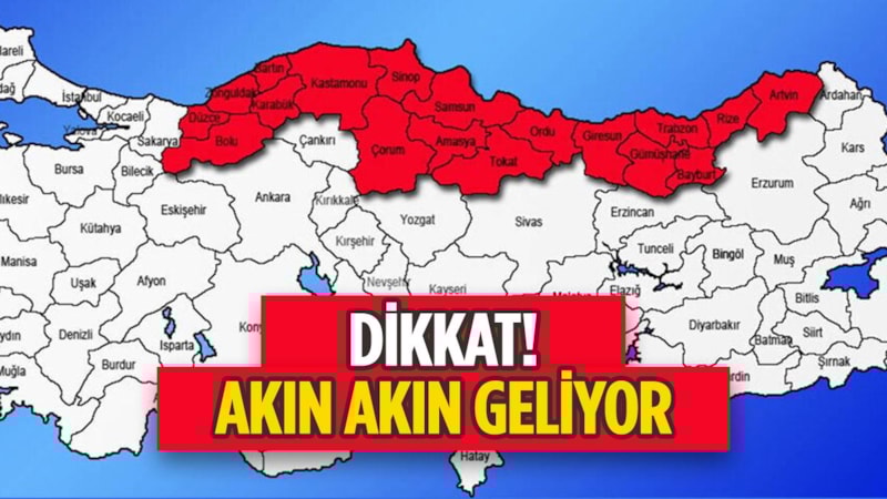 Karadenizliler dikkat! Tehlike sahili sardı: Gören ardına bakmadan kaçıyor