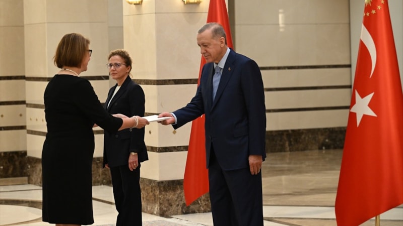 Finlandiya Büyükelçisi Hamalainen'den Cumhurbaşkanı Erdoğan'a güven mektubu
