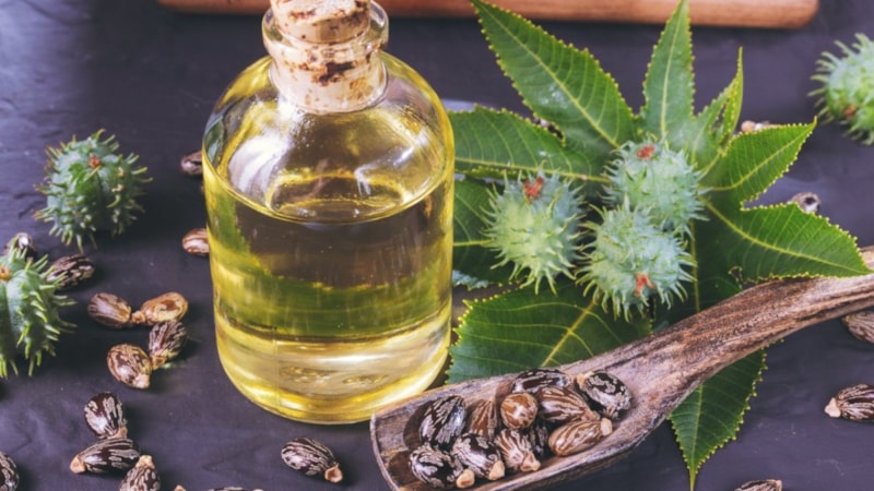 Doğanın mucizesi! Saç ve cilt bakımında mucizeler yaratıyor! İşte o yağ..