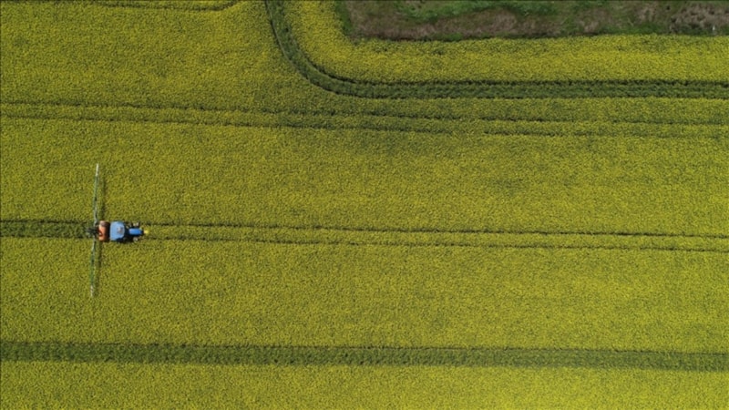 Tarımdaki biyolojik mücadeleye 184 milyon lira destek verildi