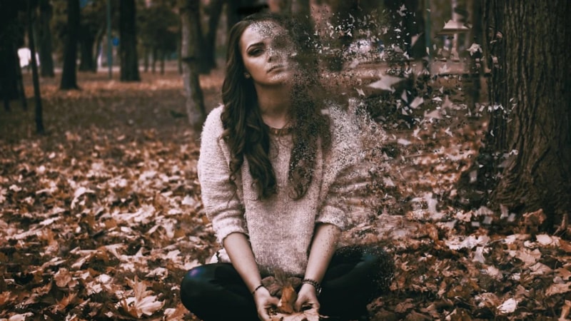 Merkezini yitirenler için rehber kitap:  Beni İncitemezsin