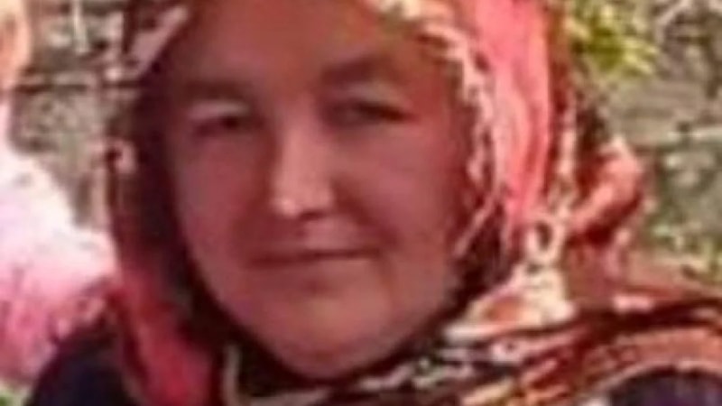 Zonguldak'taki traktör kazası can aldı