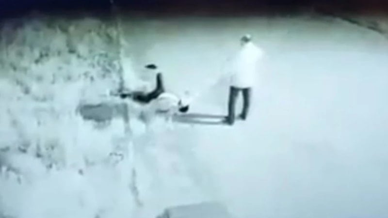 Sivas'ta patates tarlası kavgası! Silahla sırtından vurdukları kişiyi öldüresiye dövdüler