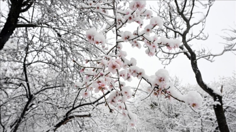 Meteoroloji uzmanları açıkladı: El Nino ve La Nina aynı anda etkili olmuyor