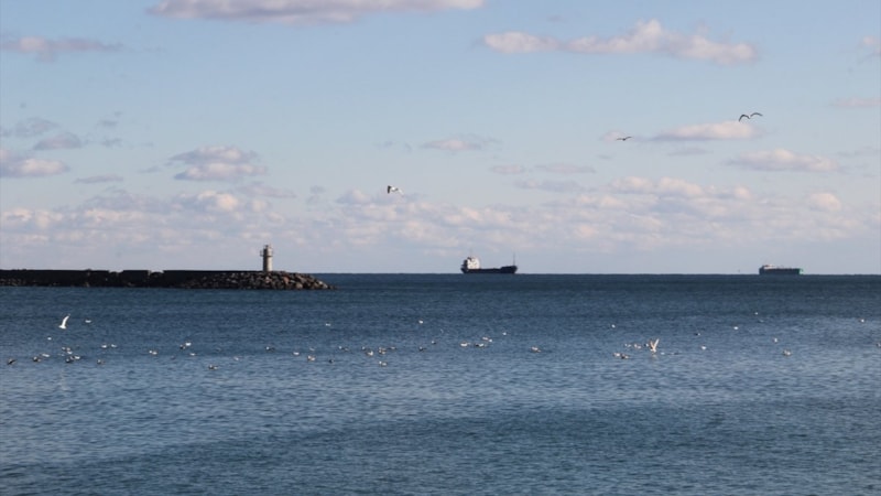 Tekirdağ'da sahilde ceset bulundu