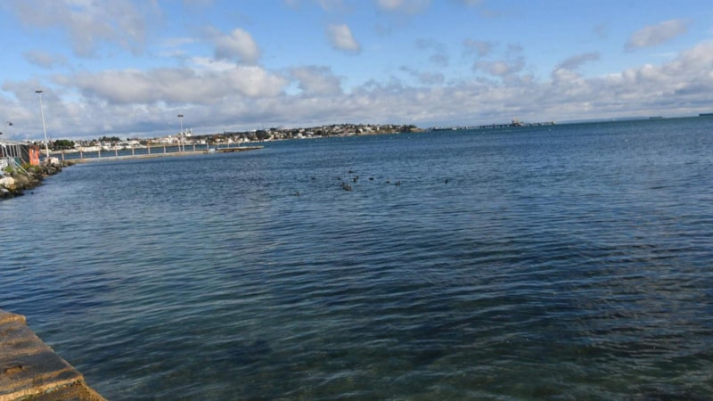 Türkiye'nin denizleri ısınıyor: Marmara'da sıcaklık 50 yılda 2,5 derece arttı