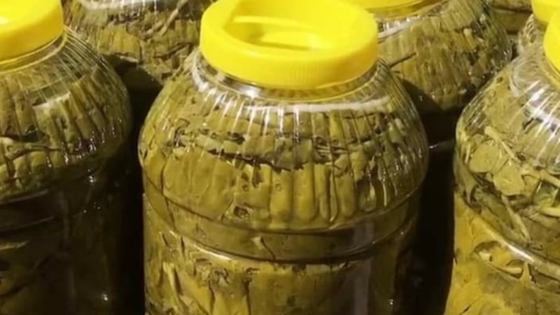 Salamura asma yaprağına bir miktar ekleyin, asla bozulmayacak