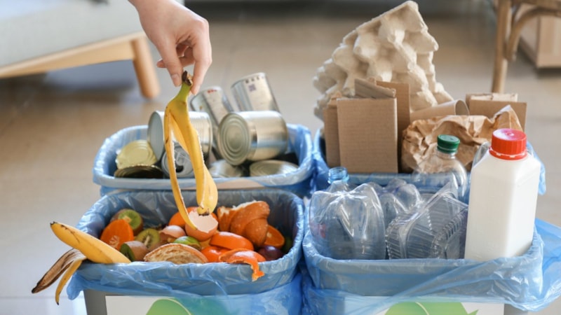 Çöpün dibine birkaç tane atın, leş değil mis koksun...