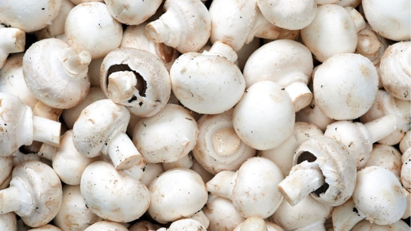 Mantara 1 kaşık ekleyin, tüm zehri akıp gitsin...