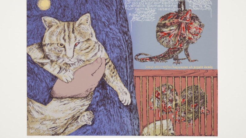 Sokaklara taşan, hayatın rengini sunan öyküler: Cardonlar