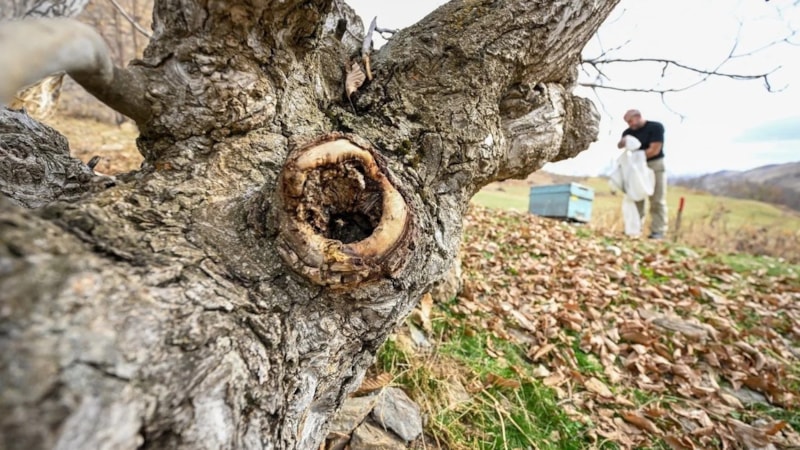 Bu kovuktan servet akıyor! Gözünüz açık olsun...