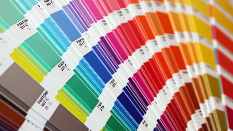 2024'ün rengi açıklandı! Şefkati temsil ediyor