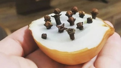 Soğana karanfil batırın, hayatınız değişecek!