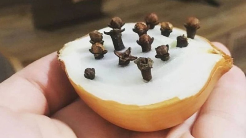 Soğana karanfil batırın, hayatınız değişecek!