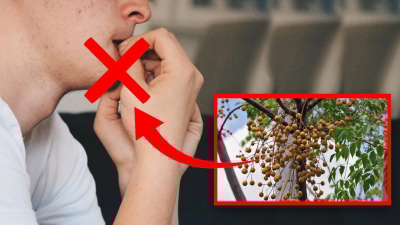 Tırnak yiyenlere müjde! Tek damlasıyla bu alışkanlıktan kurtarıyor