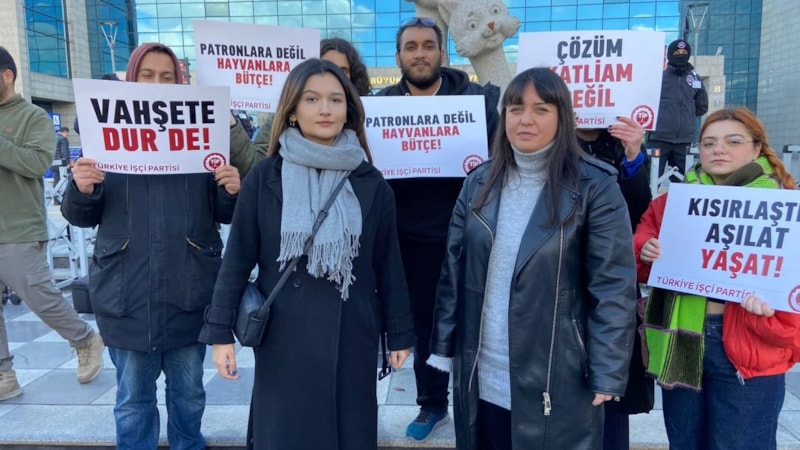Ankara'da sokak köpeklerinin toplanmasına tepki! Belediyeyi protesto ettiler