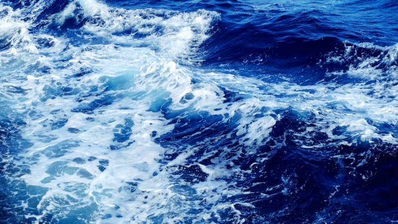 Tersine dünya: Denizler tuzsuz olsaydı ne olurdu?