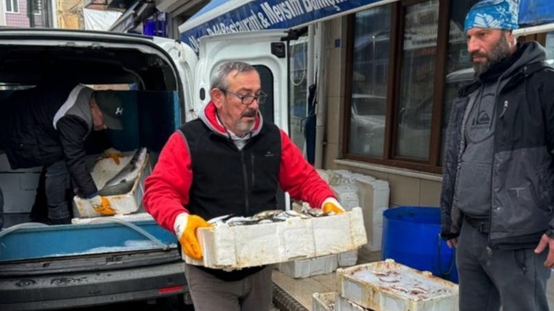 Sinop'ta tezgahlarda balık bolluğu yaşanıyor! Deniz suyu sıcaklığı düştü avcılık arttı