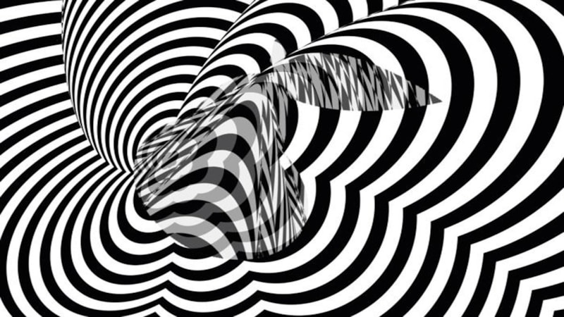 Bu resimdeki meyveyi bulabiliyorsanız helal olsun! Sadece 10 saniyeniz var…