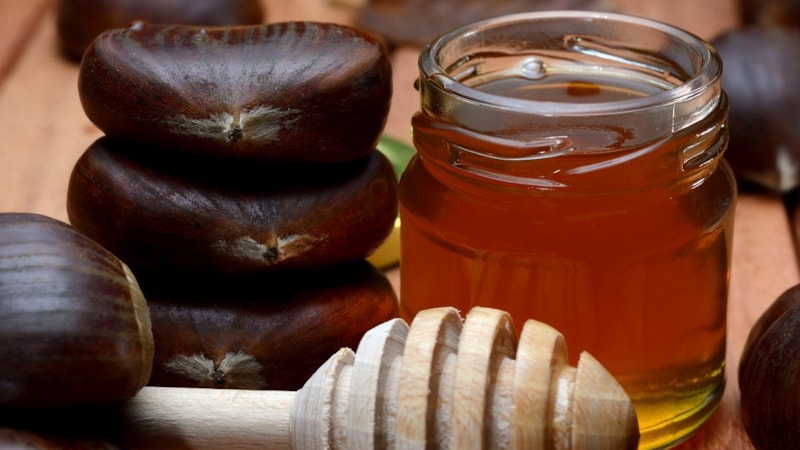 Aç karnına kestane balı yiyin, neler oluyor bakın...