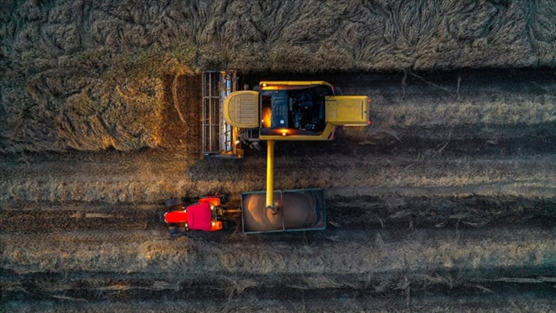 Hububat üretiminden 2024'te rekor bekleniyor