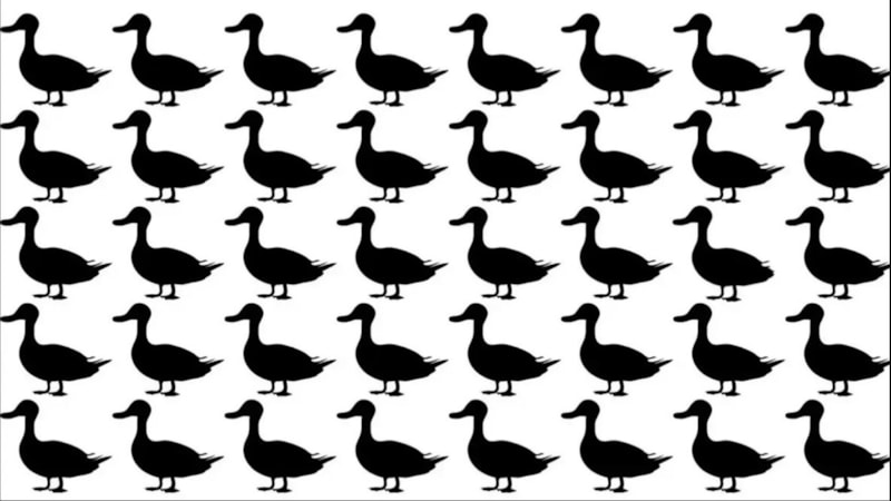 15 saniyede yüksek IQ testine hazır mısınız? Bu testi çözebilenin IQ’su 120 çıkıyor!