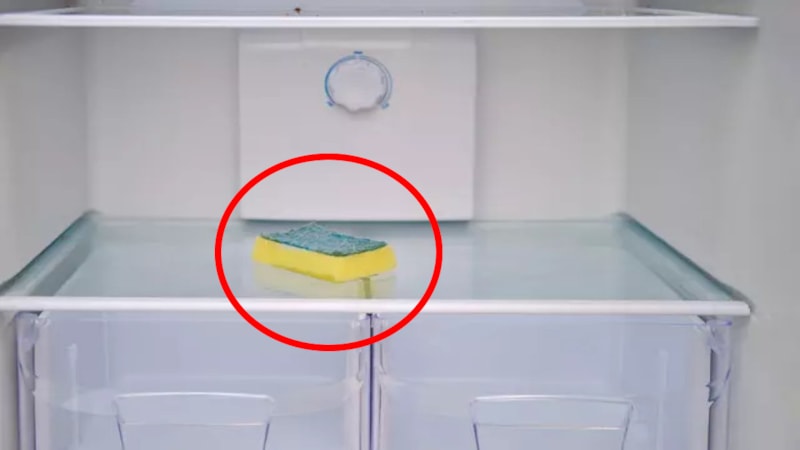 Buzdolabına sünger koyun, bakın ne işe yarıyor