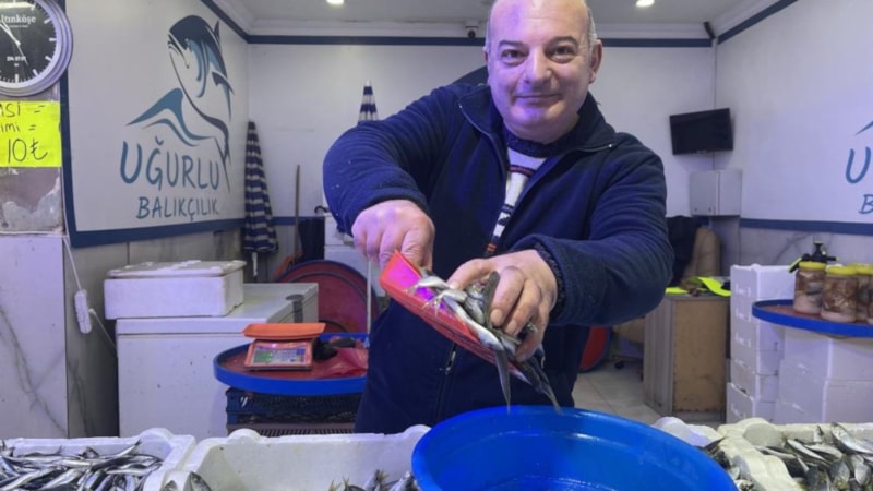 Balık çeşitliliği tezgahları süslüyor! Hamsi zirveyi kaptırmak üzere